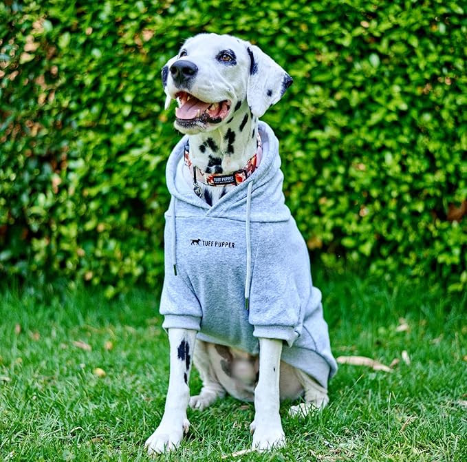 Tuff Pupper Dog Hoodie | Premium Quality 100% Organic Cotton | Ultra Soft Interior for Superior Comfort | Elastic Cuffs & Drawstring for Warmth | Stretch Fit Suitable for All Breeds (Gray, XL)