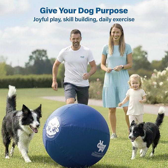 Race&Herd 18" Original XXL Herding Ball for Dogs - Giant Herding Dog Ball Australian Shepherds, Herding Toys, Dog Training Toy for Small Breeds, Dog Toy for Outdoor Play (for Small Dogs, Yellow)