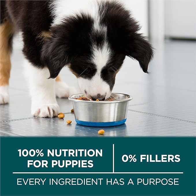 Purina One Plus Puppy Dry Dog Food for Large Dogs High Protein Growth Support, Real Chicken - 31.1 lb Bag