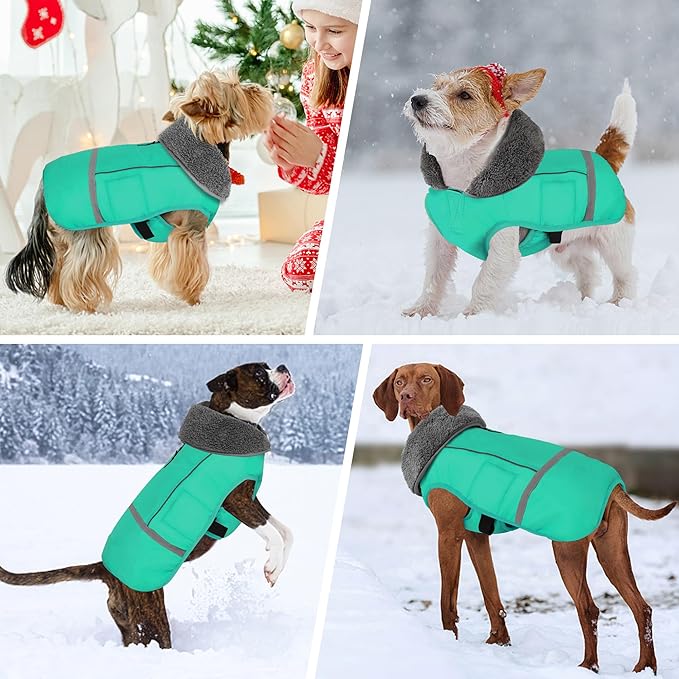 Dogcheer Warm Dog Coat, Waterproof Dog Jacket Christmas Puppy Winter Coat with Buckle, Reflective Adjustable Pet Snow Jacket Turtleneck Fleece Sweater for Small Medium Large Dogs - Pine Green, S