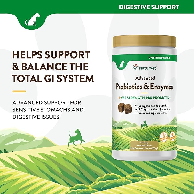 NaturVet Advanced Probiotics & Enzymes, PB6 Dog Soft Chews to Help Sensitive Stomachs and Digestive Issues, Hickory Smoked Bacon Flavored Pet Supplement for Dogs Over 6 Weeks, 240 Count Jar