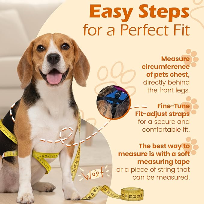 Bark Appeal Blue No-Pull Dog Harness for XS to Small Sized Pets – Adjustable, Reflective Vest with 3 Leash Clips for Added Control, Easy Walks & Training – Small