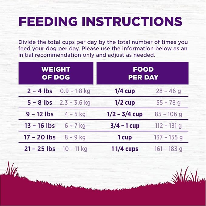 Wellness Complete Health Dry Dog Food, Small Breed, Grain Free, Natural, Turkey, Chicken, & Salmon Recipe (11-Pound Bag)