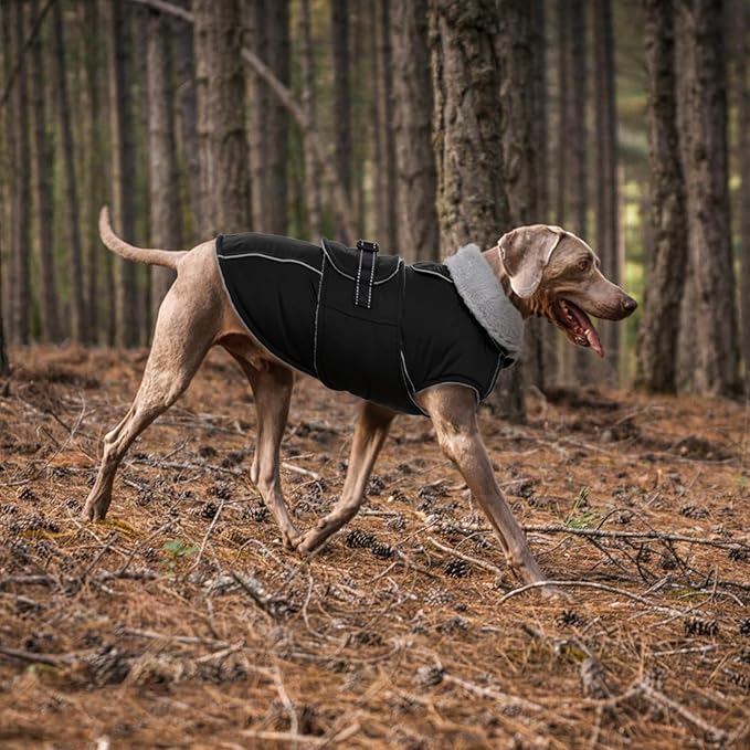 Lelepet Warm Dog Coat Reflective Dog Fleece Vest Waterproof Jacket Windproof Winter Cold Weather Coats with Adjustable Buckle Jackets for Dogs, Black, M