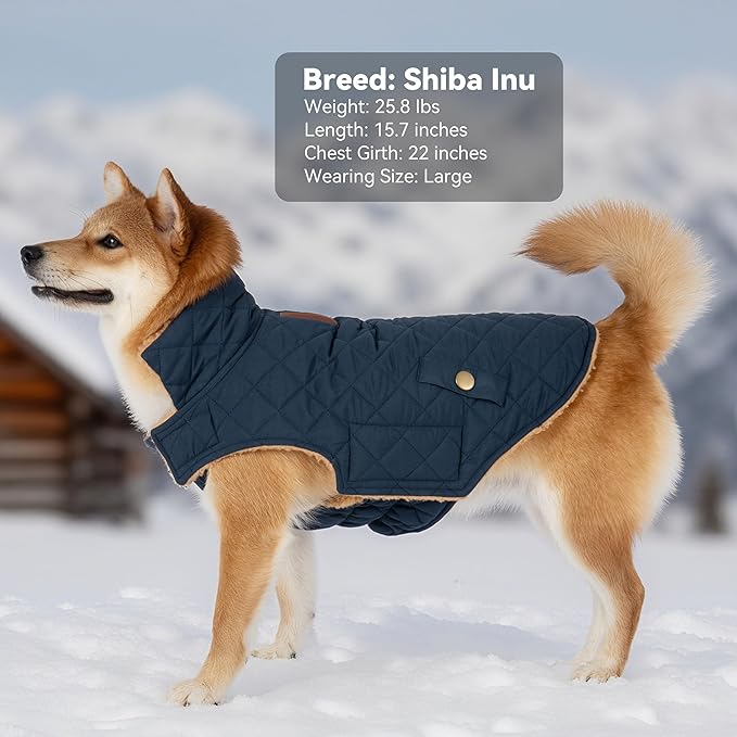 Dog Coat, Warm Winter Dog Waterproof Jacket for Medium Dogs, Fleece Lined Adjustable Dogs Coats Cold Weather Windproof Doggie Snowsuit with Leash Hole, Navy X-Large