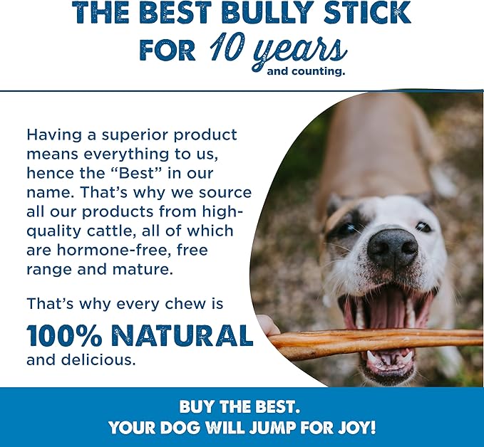 Best Bully Sticks 6 Inch Jumbo Bully Sticks for Dogs - 12 Count (Pack of 1) - Natural Grass-Fed Beef, Single Ingredient, Grain and Rawhide Free Chew, Large Breeds