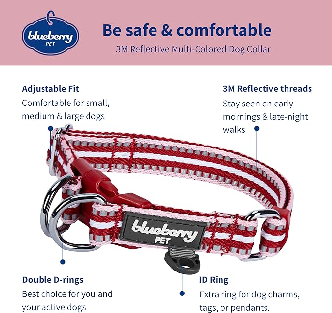 Blueberry Pet Safety Dog Collar with Dual D-Rings | 3M Reflective Multi-Colored Adjustable Collar in Marsala Red and Pink | Soft Nylon Dog Collar for Active Small Dogs