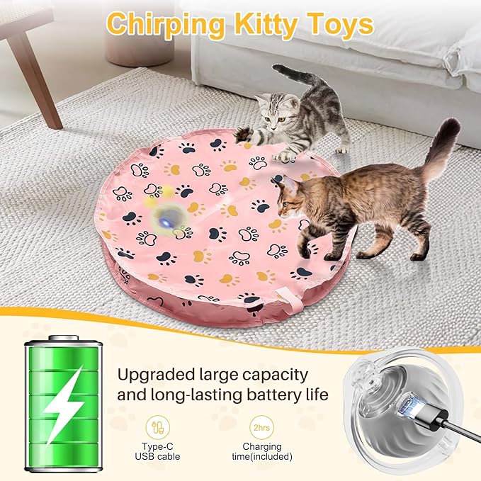 Interactive Cat Toys Ball, Automatic Motion Activated Ball in Pouch Fast Rolling Indoor, Hide and Seek Mouse Catching Game in Cat Play Mat with Chirping, LED Light, Auto On/Off (Pink)