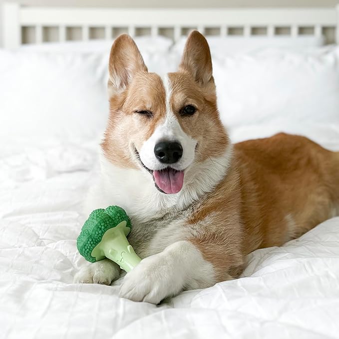Nylabone Broccoli Power Chew Toy for Dogs, Dog Toys for Aggressive Chewers, Bacon & Cheese Flavor, Large Dogs - Up to 50 lbs, 1 Count