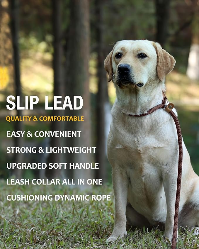 lynxking 5 FT Dog Leash Slip Lead 2 Pack Strong Heavy Duty Braided Dog Training Leash No Pull Training Lead Leashes for Medium Large and Small Dogs