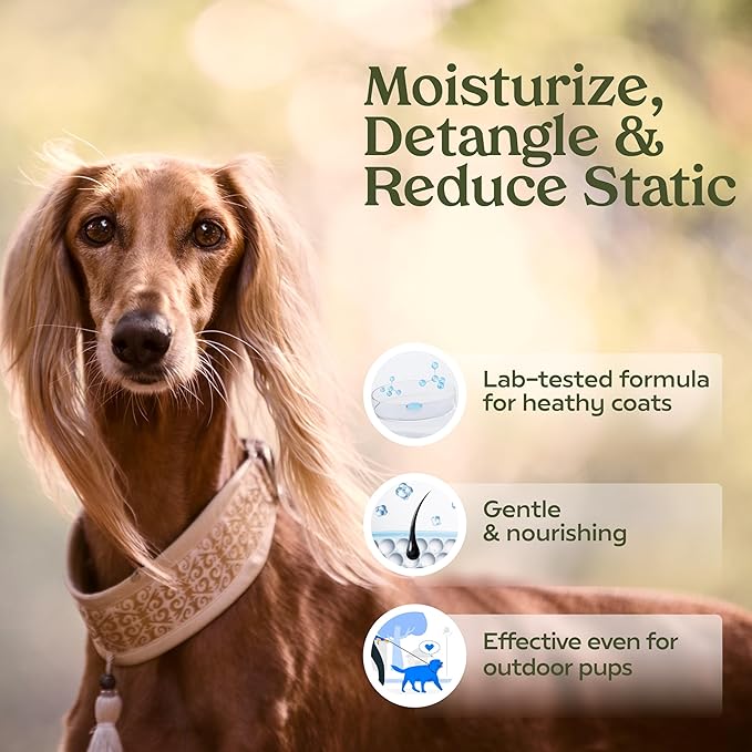 Paw Fume Dog Perfume Spray Long Lasting Scent for Grooming, Show Dog, 1-Pack – Keep Your Pup Fresh All Day – Hypoallergenic, Alcohol-Free, Detangling Formula – Moisturizing Pet Cologne Spray for Dogs