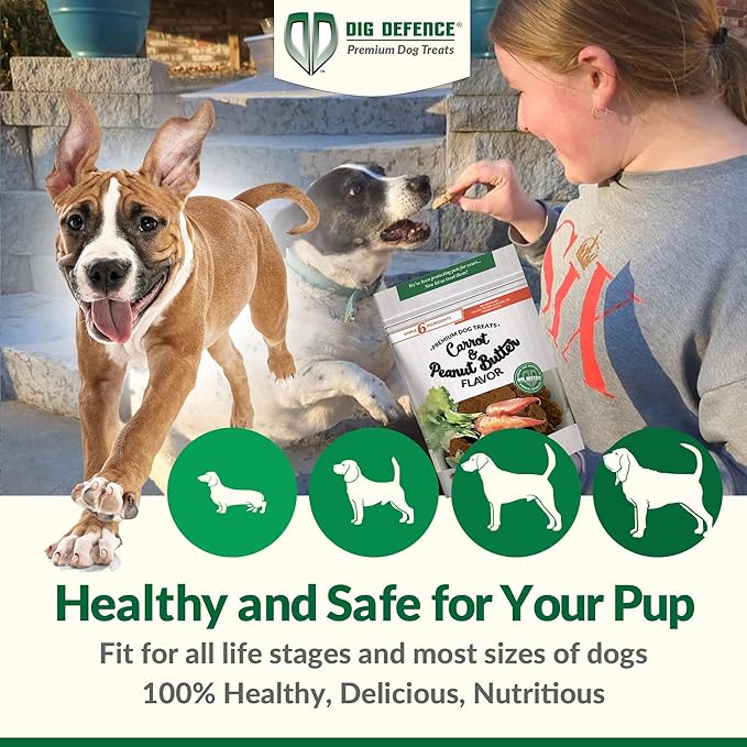 Dig Defence Premium Dog Treats - Honey/Ginger and Carrot/Peanut Butter, Natural Ingredients, Baked Gourmet Snacks for Small & Big Dogs, Healthy Training Treat, 2 Pack