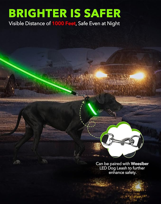 Weesiber Light Up Dog Collar - Glow in The Dark LED Dog Collar Rechargeable Reflective Pet Collar, Safety Doggy Lights for Night Walking(Green, L)