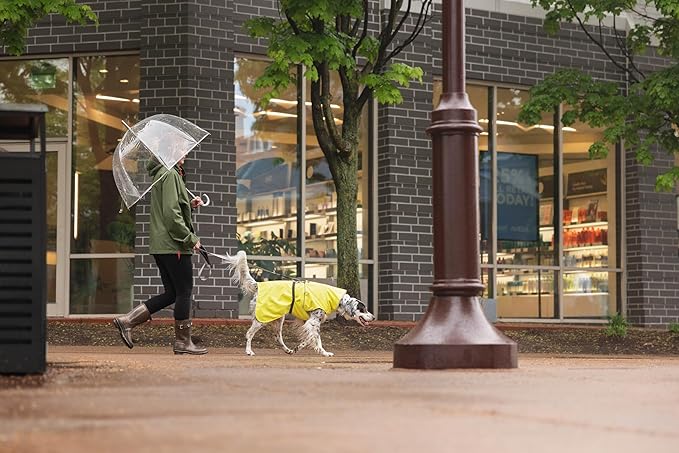Goldpaw Rainpaw Waterproof Dog Raincoat - Durable Dog Rain Jacket for All Seasons - Easy to Wear, Adjustable, Premium Pet Outerwear - Made in The USA - Machine Washable - Beetroot - Size 26