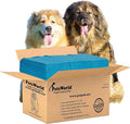 PETSWORLD Enormous Dog Training & Potty Pads, 37x54 inch - Tear Resistant with Strong Leak-Proof Backing, Optional Adhesive Tape, 100 Count