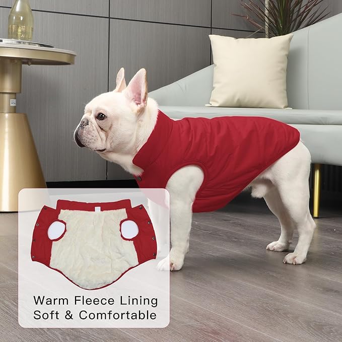 2 Layers Fleece Lined Warm Dog Jacket for Winter Cold Weather,Soft Windproof Medium Dog Coat,Red L