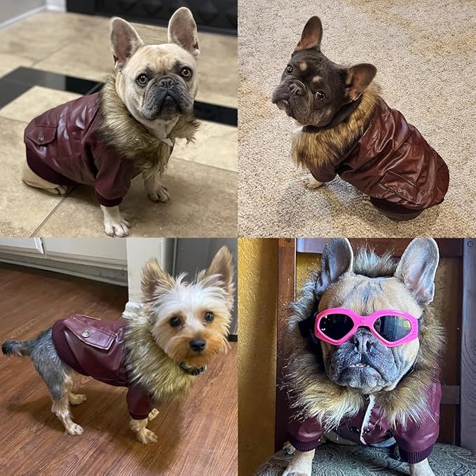 LESYPET Dog Leather Jacket for Small Dogs, Waterproof Dog Winter Jacket Puppy Coat with Fleece Lined, Ultra Warm Fur Collar Doggie Coat, Red S