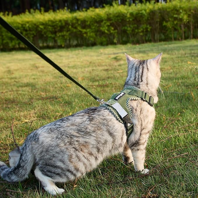 Cat Harness and Leash Escape Proof Small Kitten Harness Abyssinian Cat Vest for Walking Travel, Dark Green, S