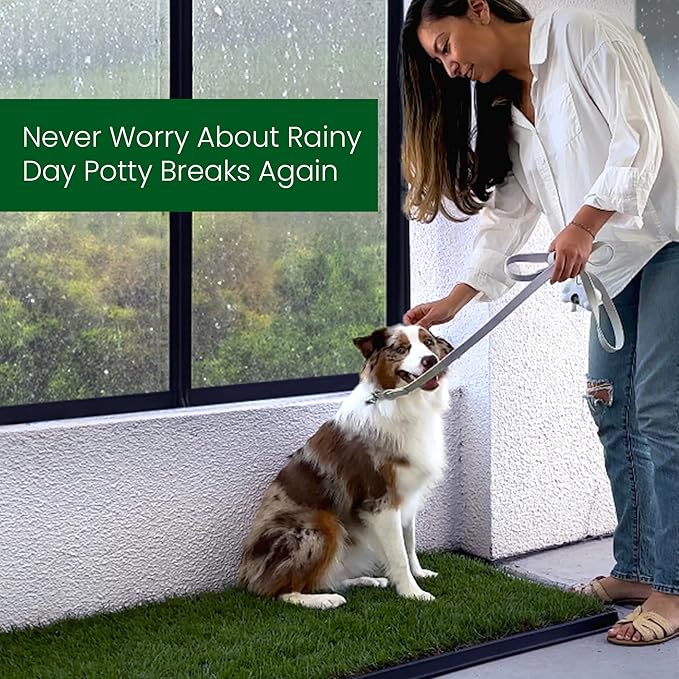 Fresh Patch Real Grass Patch for Dogs, Cats, and Large Pets 15-30 Pounds – Disposable Pet Grass Pee Pads – Indoor and Outdoor Potty Training Mat (24 Inches x 24 Inches)