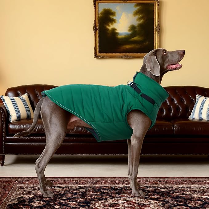 Kuoser Winter Dog Coat for Medium Dogs, Cold Weather Jacket & Vest for French Bulldog, Boston Terrier, Green M