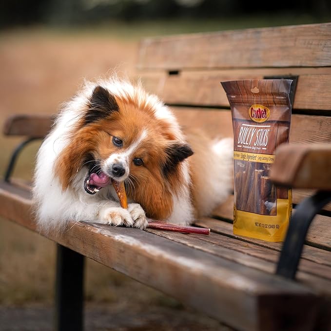 Cadet Bully Sticks for Small Dogs, All-Natural Beef Pizzle, Rawhide-Free Long-Lasting Dog Chews for Aggressive Chewers, 4 Count