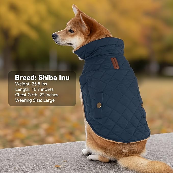Dog Coat, Warm Windproof Dog Coats for Large Dogs Boy, Waterproof Pet Winter Jacket, Cold Weather Clothes Dogs Snowsuit with Leash Hole, Navy XXX-Large