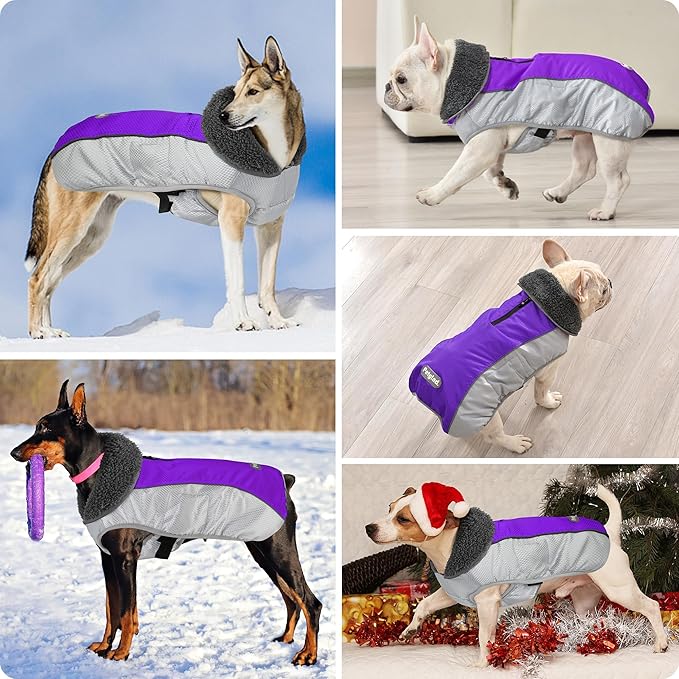 Dog Coat, Waterproof Ripstop Dog Winter Jacket with Leash Hole, Reflective Adjustable Warm Pet Fleece Snow Sweater for Small Medium Large Dogs - Purple, M
