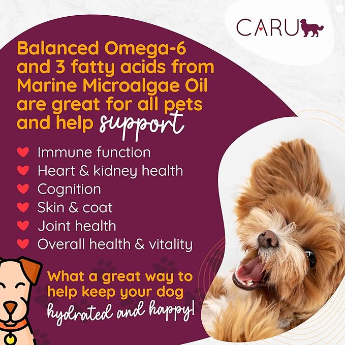 Caru - Classics Beef Stew for Dogs - Healthy Wet Dog Food or Food Topper - Balanced Omega Blend - 12.5 oz Cartons - Pack of 4