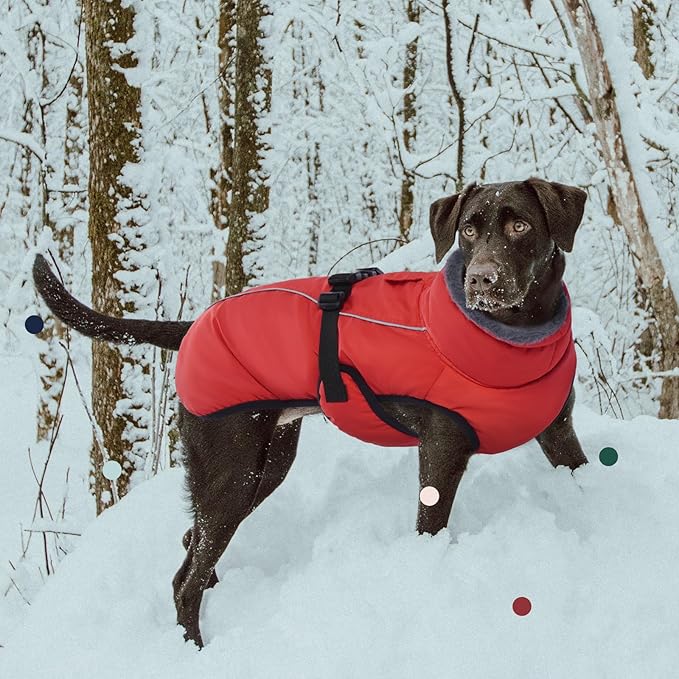 IECOii Extra Warm Dog Coat - Reflective, Adjustable Jacket with Buckle & Fleece Turtleneck for Cold Weather, Soft Winter Coat for Small to Extra Large Dogs