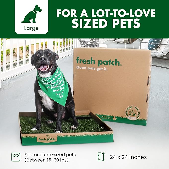 Fresh Patch Real Grass Patch for Dogs, Cats, and Large Pets 15-30 Pounds – Disposable Pet Grass Pee Pads – Indoor and Outdoor Potty Training Mat (24 Inches x 24 Inches)