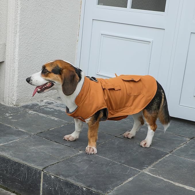 Workwear Style Dog Coats with Harness Built in for Small Dogs Windproof Warm Puppy Jacket with Storage Pockets for Cold Winter,BrightBeige XXXL