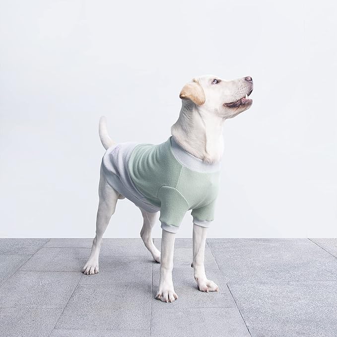 Extra Large Dog Sweaters Warm Clothes Pullover Sweatshirts for Labrador Rottweiler Great Dane, Green Grey, 3X-Large