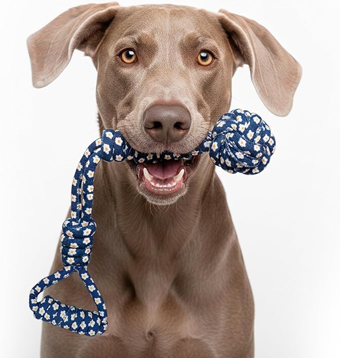 My Pet & Me – Durable Rope Dog Toy for Chewing, Tug of War, and Interactive Play – Perfect for Puppies and Active Dogs (17 Inch, Tug of War Dog Toy)