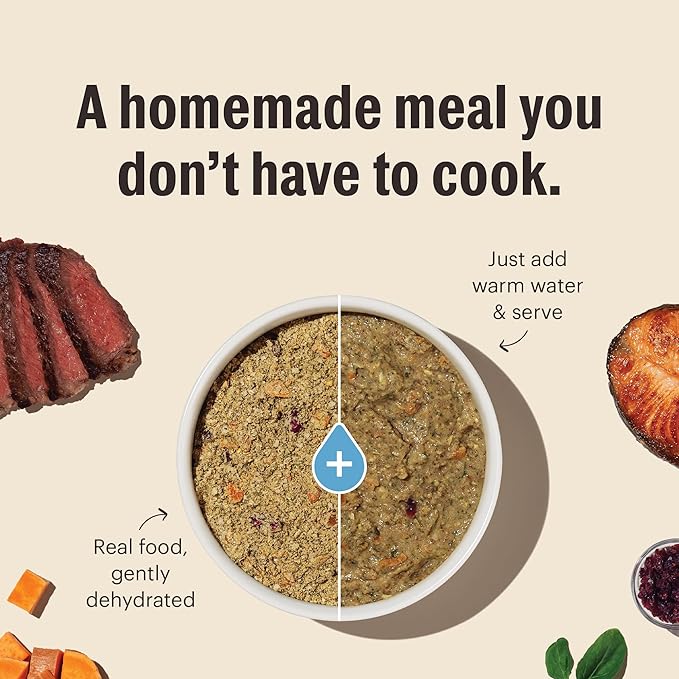 The Honest Kitchen Wholemade™ Whole Grain Fish & Oats Dog Food, 4 lb Box