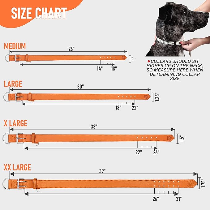 Riparo Dog Collar - Genuine Leather Dog Collars - Adjustable Dog Collars - Heavy Duty Hardware for Medium Large and Extra Large Dog Breeds (XXL, Orange)