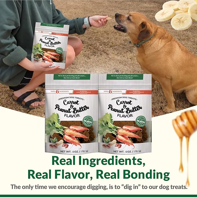 Dig Defence Premium Dog Treats - Carrot and Peanut Butter, Natural Ingredients, Baked Gourmet Snacks for Small & Big Dogs, Healthy Training Treat, 2 Pack