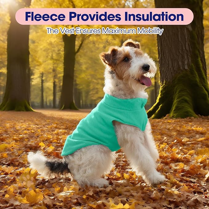 FUAMEY Dog Fleece Vest for Small Dogs,Warm Stretchy Dog Sweatshirts Pullover with Leash Hole Dogs Sweater Soft Pet Turtleneck Cozy Pet Vest Lightweight Sleeveless Cyan S