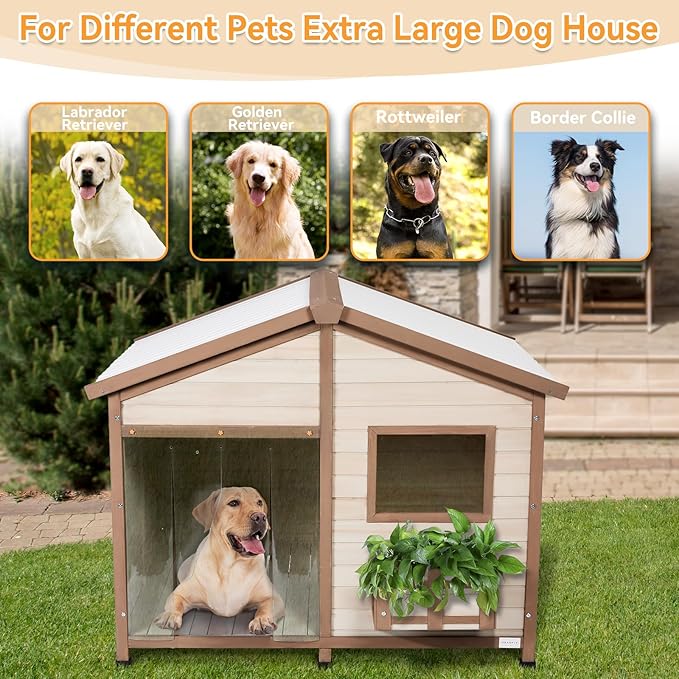 Petsfit All-Season Large Wooden Dog House Outdoor for Extra Large Breeds up to 200lbs, Insulated Weatherproof Shelter with PVC Roof & Elevated Floor, Easy Assembly, 47-Inch, Off-White