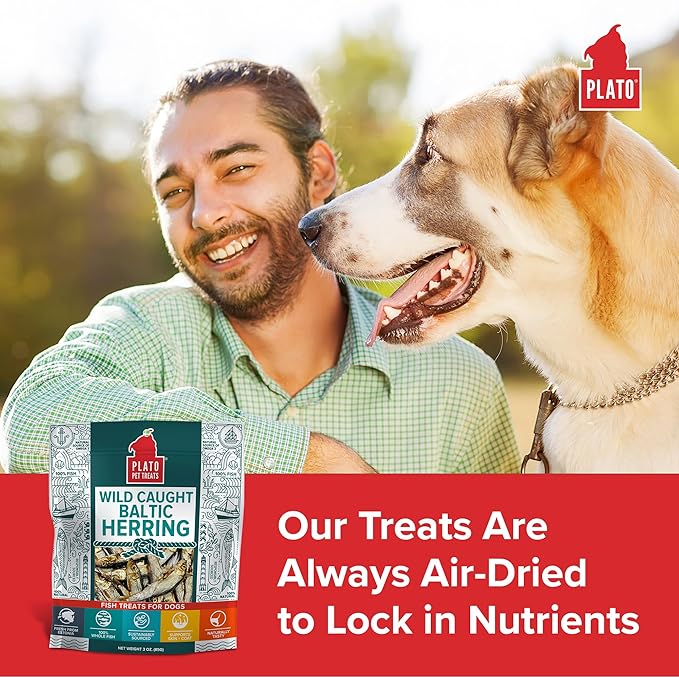 PLATO Pet Treats Fish Dog Treats - Air-Dried, Single Ingredient Dog Treat - with Omega 3 & 6 Fatty Acids to Support Skin and Coat - 100% Whole Fish - Wild Caught Baltic Herring Dog Treats - 3oz