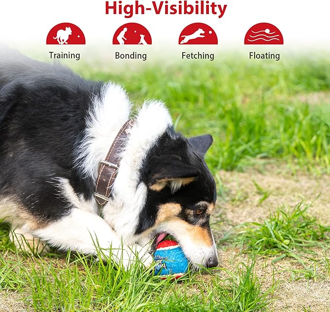 Gigwi Tennis Balls for Dogs, Squeaky Dog Tennis Balls for Exercise, High Bouncy Pet Ball Bright Colors 2.5 Inches, Interactive Funny Dog Toys for All Breeds of Dogs Indoor & Outdoor Dog Games, 5 Pack