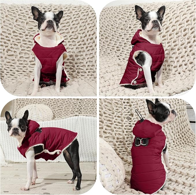Fleece Lining Dog Hoodie with Harness Built in,Extra Warm Small Dog Jacket in Winter Puppy Coats with Drawstring Hooded,Red XS