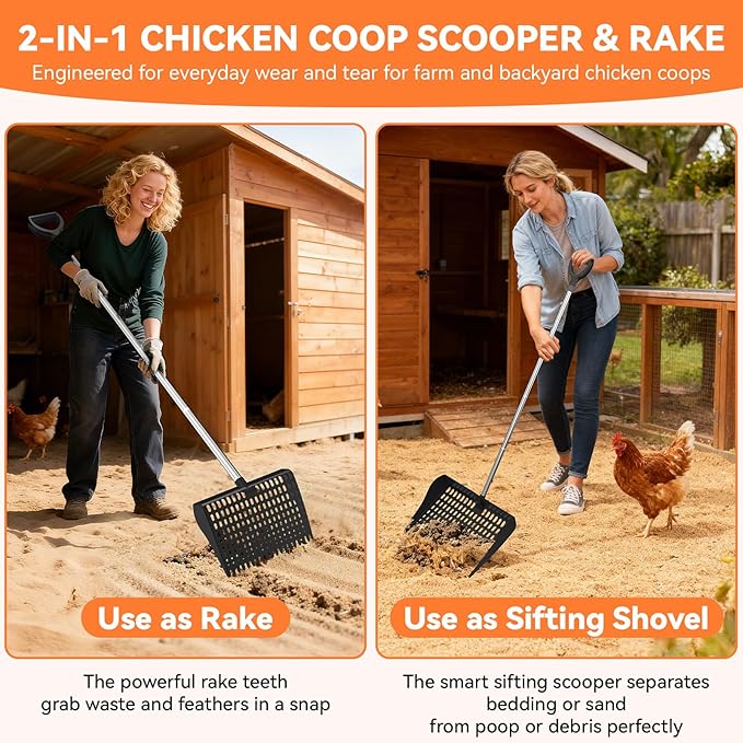 Chicken Poop Scooper & Rake 2-in-1, Pooper Scooper with 13in Wider PP Head & Adjustable Stainless Steel Handle, 33''-69'' Sand Sifting Shovel Litter Scooper for Chicken Coop/Small Farm Animals, Black