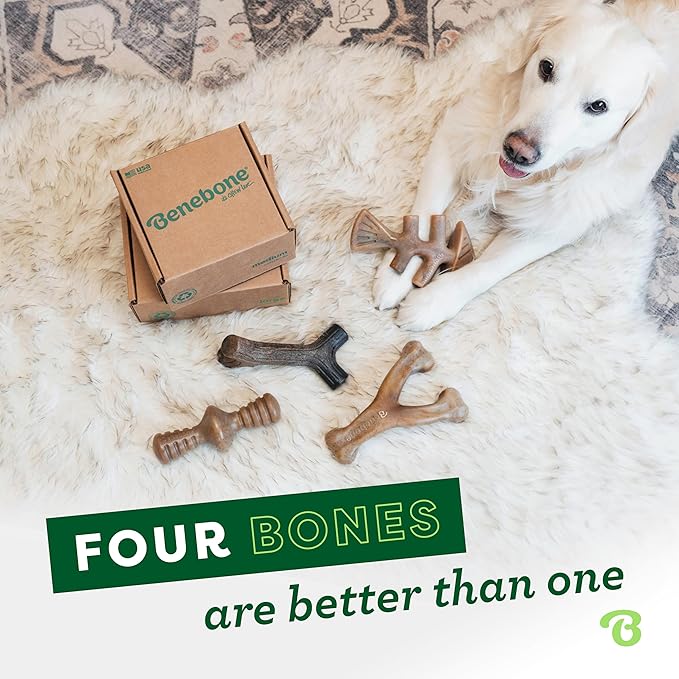 Benebone Large 4-Pack Dog Chew Toys for Aggressive Chewers, Made in USA, 90lbs and Under