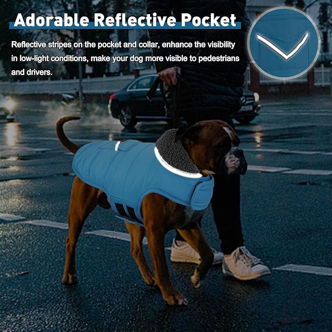 Dog Coat, Waterproof Dog Winter Jacket with Pocket, Reflective Adjustable Pet Snow Vest, Warm Cozy Fleece Sweater for Small Medium Extra Large Dogs - Sky Blue, M
