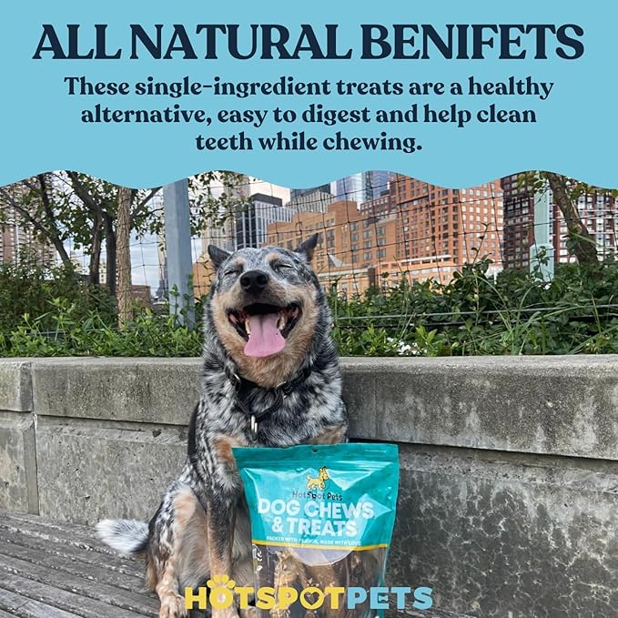 hotspot pets Braided Bully Sticks for Dogs - 6 Inch Stix (10 Pack) All Natural Long Lasting Twisted Beef Pizzle Dog Chew Treats - Low Odor, Grain Free Fully Digestible Rawhide Alternative Sticks