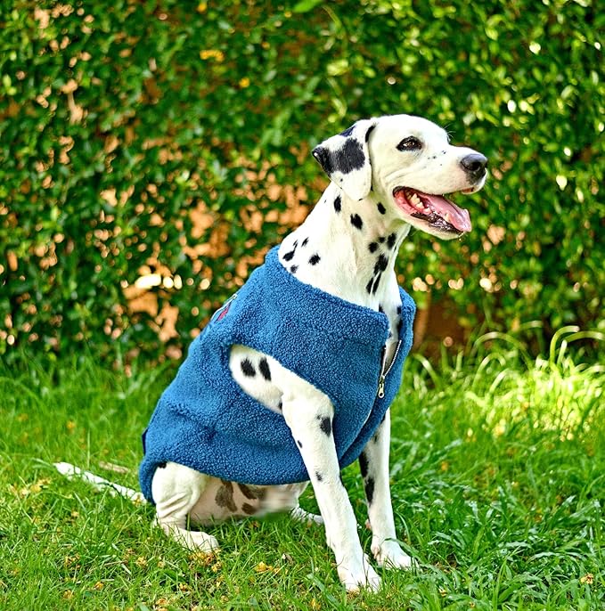 Tuff Pupper Reversible Fleece Sweater Vest for Dogs | Lightweight Comfortable Insulated Jacket | Front Zip Closure | Machine Washable | Built-in Leash Hole | Sizes for All Breeds (Medium, Teal)
