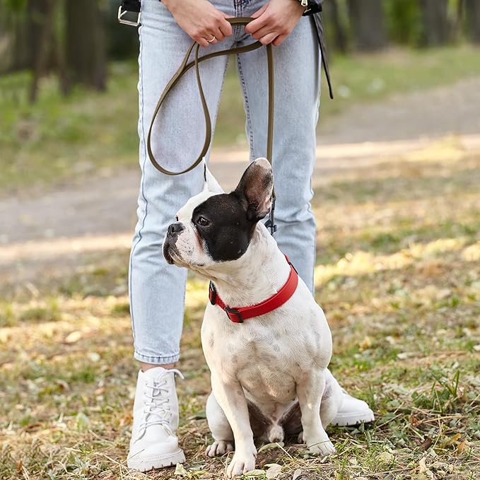 Dogline Biothane Waterproof Dog Leash Strong Coated Nylon Webbing with Black Hardware Odor-Proof Easy to Clean High Performance for Small or Large Dogs Made in USA 4 or 6 ft Lead, Coyote Brown