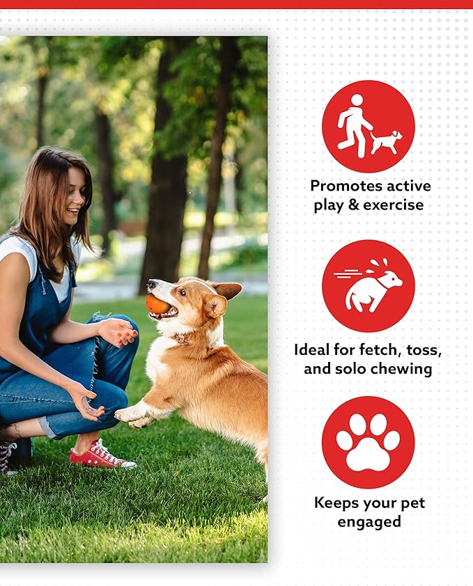 ALPI Chomp Ball - Durable Chew Toys for Dogs & Other Pets - Stimulating Dog Toys for Aggressive Chewers - Soft Dog Chews - 3-Pack, Orange