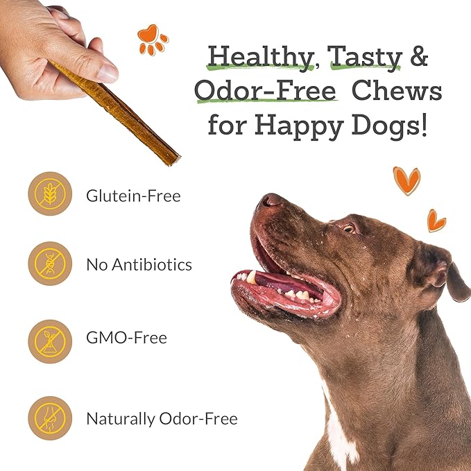 Advance Pet Products 12 Inch Bully Sticks (Pack of 5) - 100% Beef, Odor Free Dog Chews for Aggressive Chewers - Long Lasting, Gluten-Free, Easy to Digest, High Protein - for Small, Medium, Large Dogs