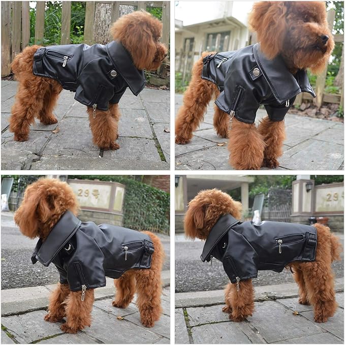 Lovelonglong Cool Dog Leather Jacket, Warm Coats Dogs Windproof Cold Weather Coats for Large Medium Small Dogs, Husky Clothing Black L-M
